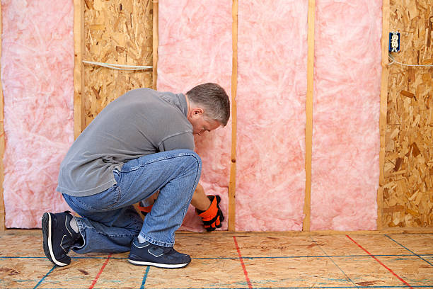 Best Insulation for New Construction  in Pecan Plantation, TX